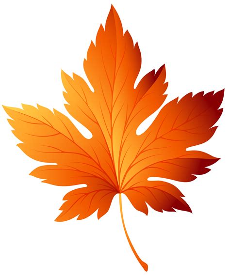 leaf clipart|leaf clipart transparent.